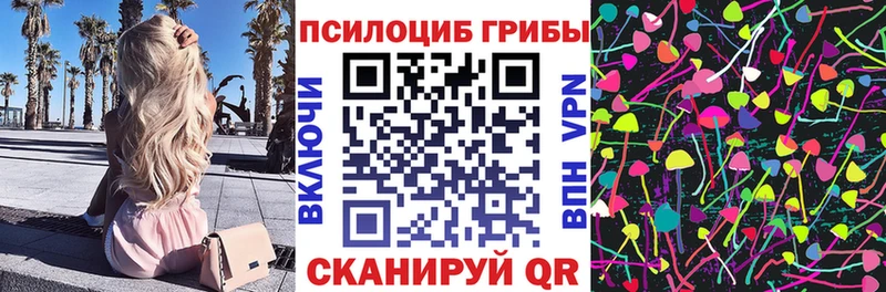где купить   Воскресенск  Псилоцибиновые грибы Magic Shrooms 